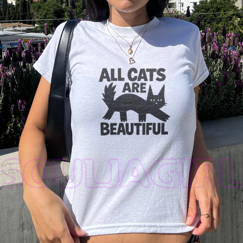 all cats are beautiful